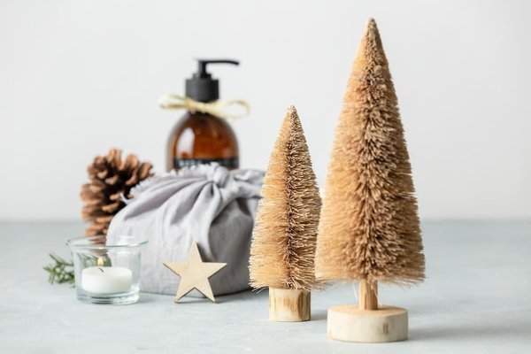 How to Choose the Right Eco-Friendly Handbag that Suits Your Professional Style?