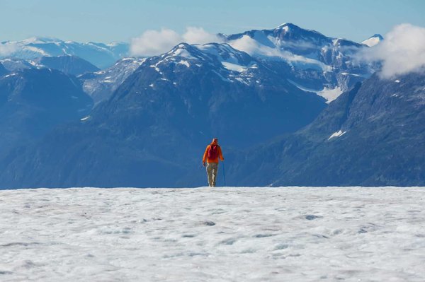 What's the Best Structure for a DIY Cat Climbing Wall?