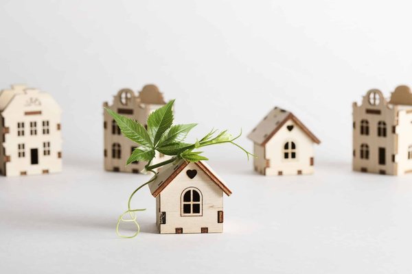 Can You Retrofit a Night Vision System in a Land Rover Discovery for Safer Wild Driving?