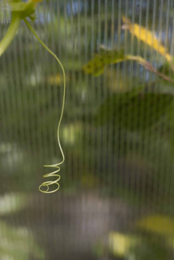 How Can AI Assist in Personalizing User Interfaces for People with Motor Impairments?